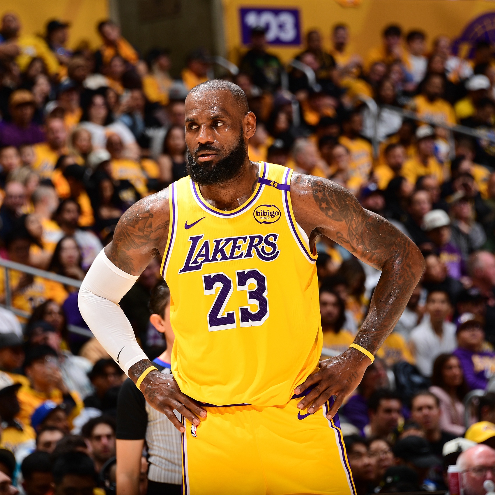 詹姆斯迎来十五赛季高光表现，湖人球迷沸腾！的简单介绍