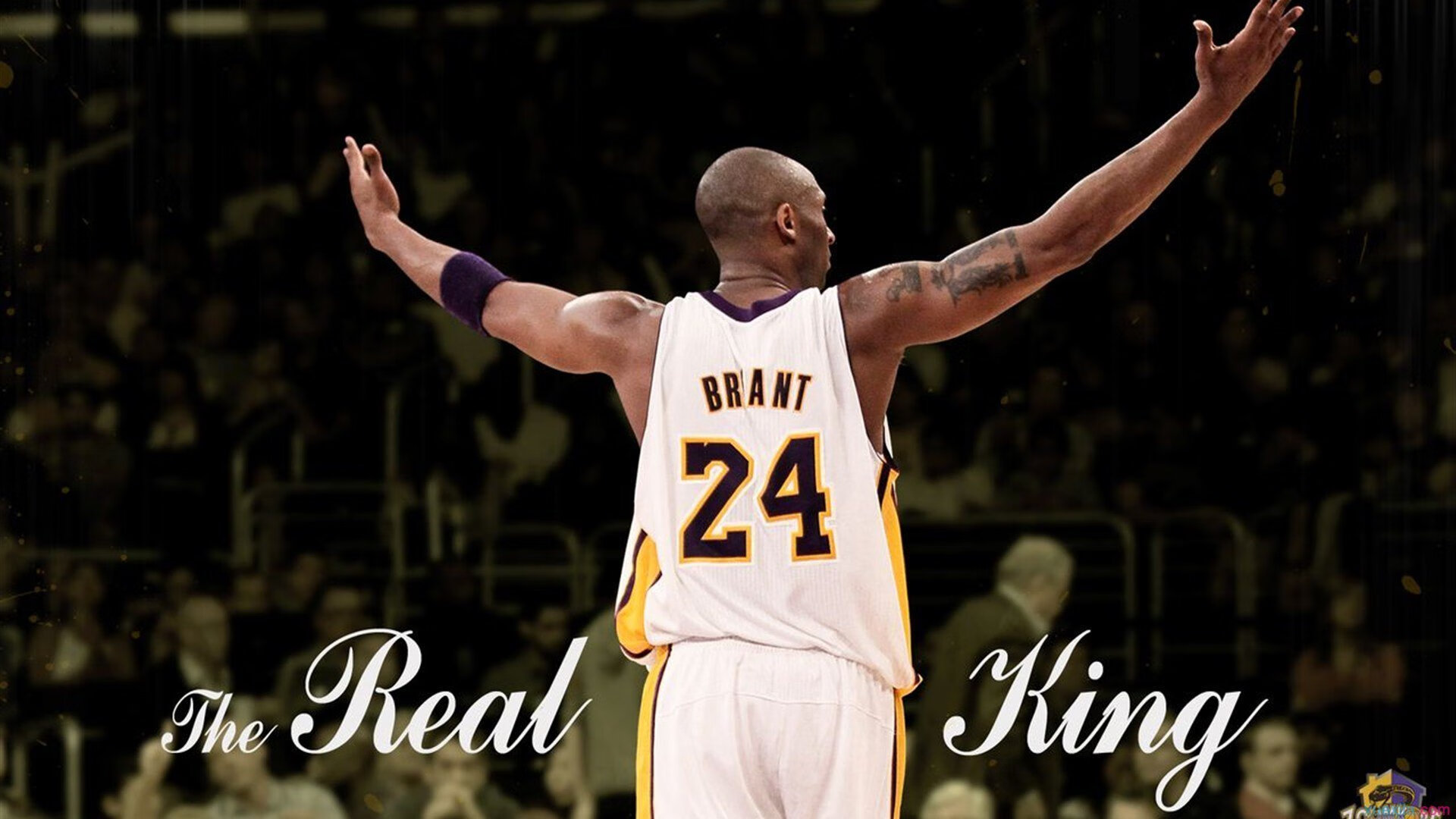 掘金引发争议！，Ning官方宣布重要助攻新规再创辉煌时刻