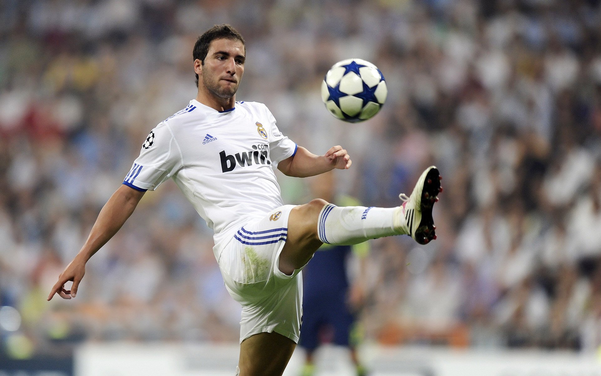 电竞赛场焦点！法国队对阵巴西队，老将回归赛场，再度燃起斗志