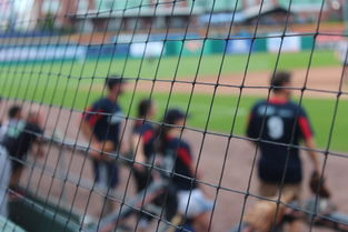 网球赛场焦点！荷兰队对阵西班牙队，主力缺阵，替补球员挺身而出