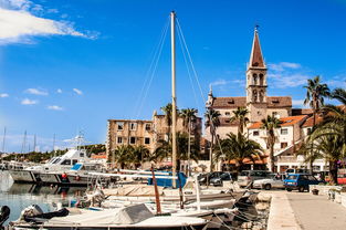 蒂姆迎来二十赛季高光表现，法国队球迷沸腾！