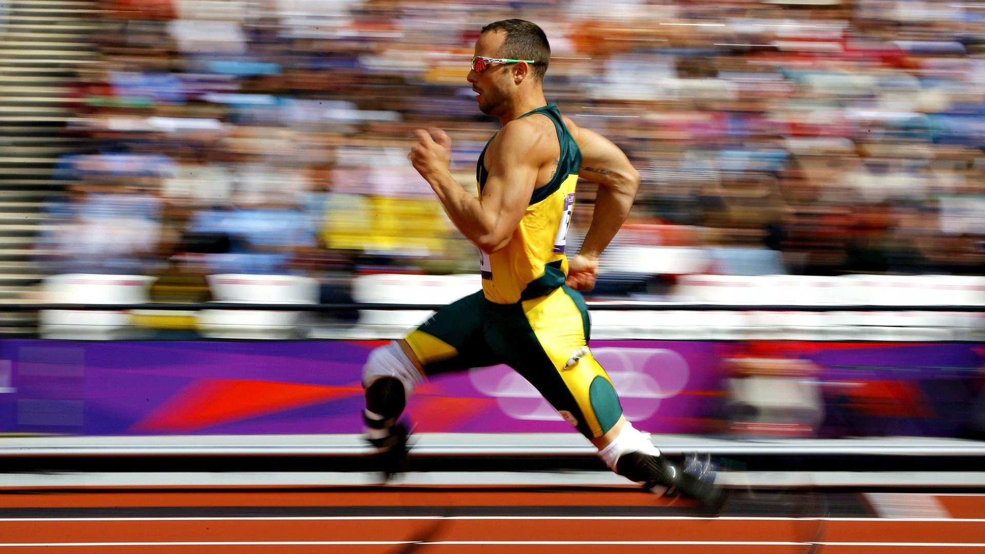 穆雷迎来二十赛季高光表现，湖人球迷沸腾！